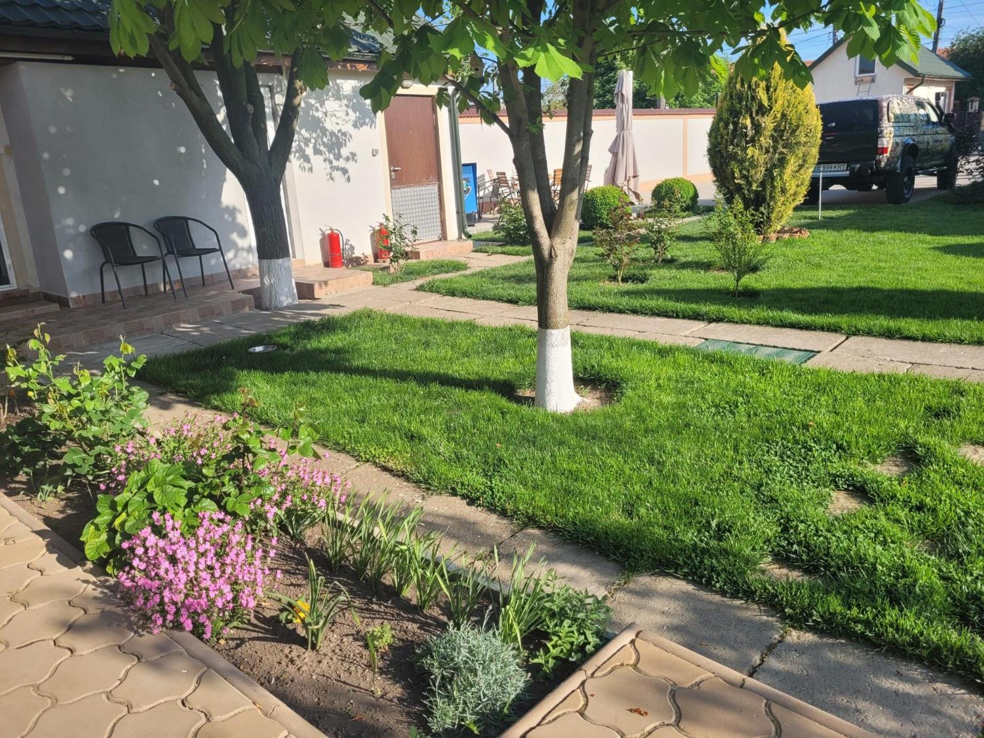 מלון באיה Casa Viviana מראה חיצוני תמונה