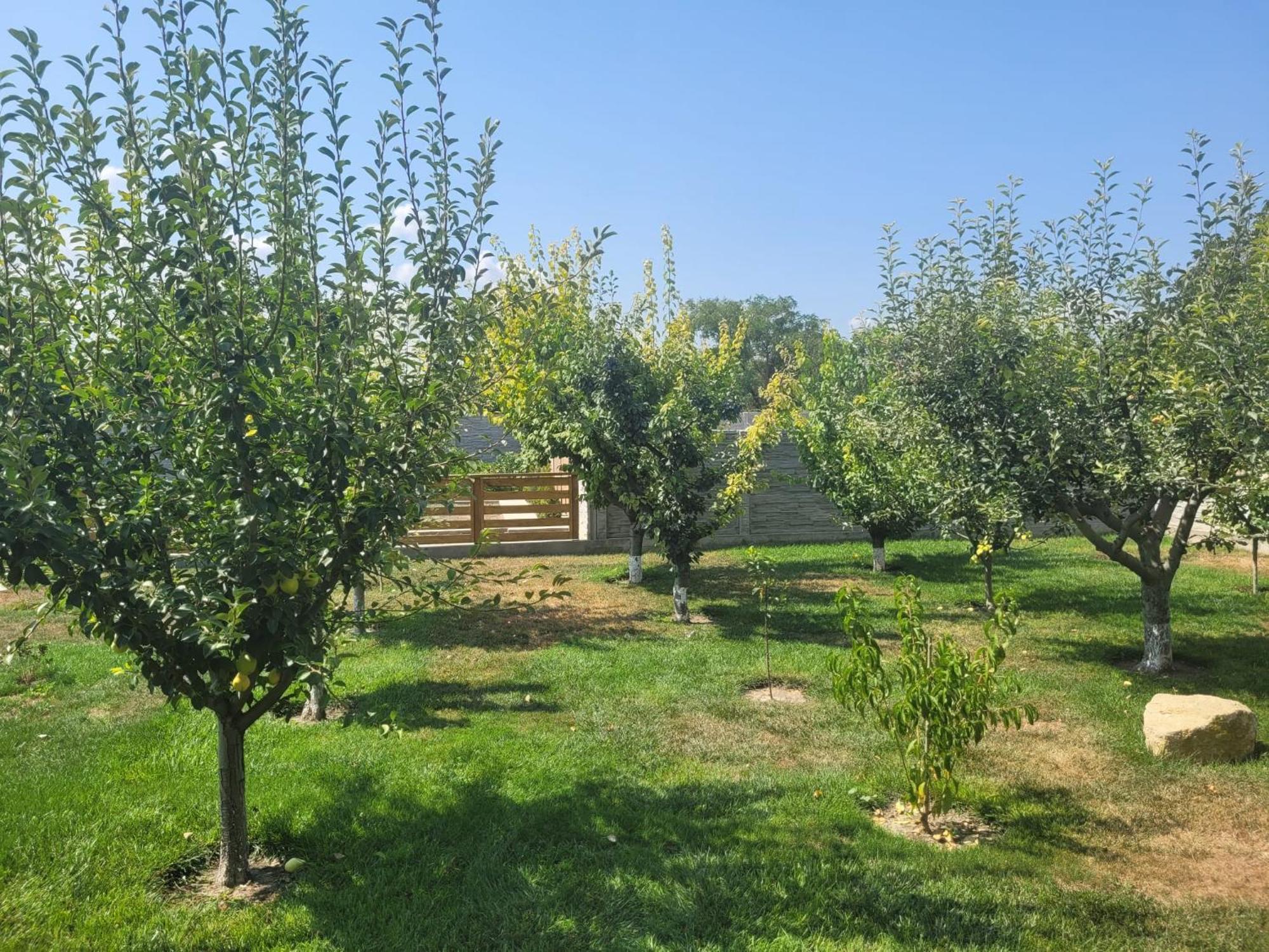 מלון באיה Casa Viviana מראה חיצוני תמונה