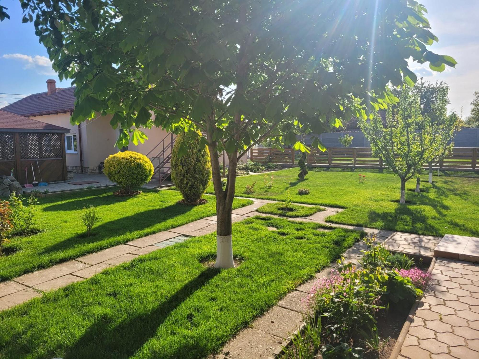 מלון באיה Casa Viviana מראה חיצוני תמונה